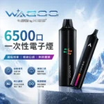 一次性電子煙-哇酷WAGOO-KIS5-6500