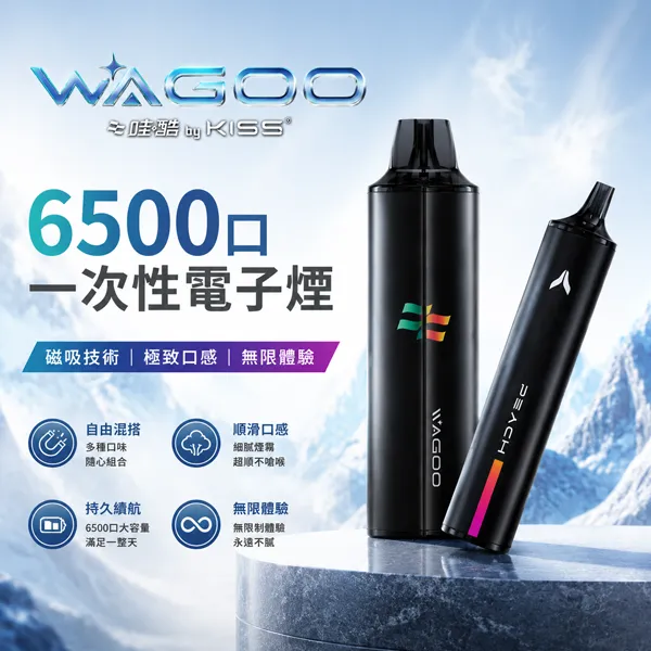 一次性電子煙-哇酷WAGOO-KIS5-6500